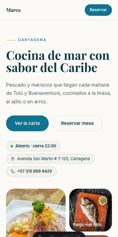 Plantilla Revista en celular